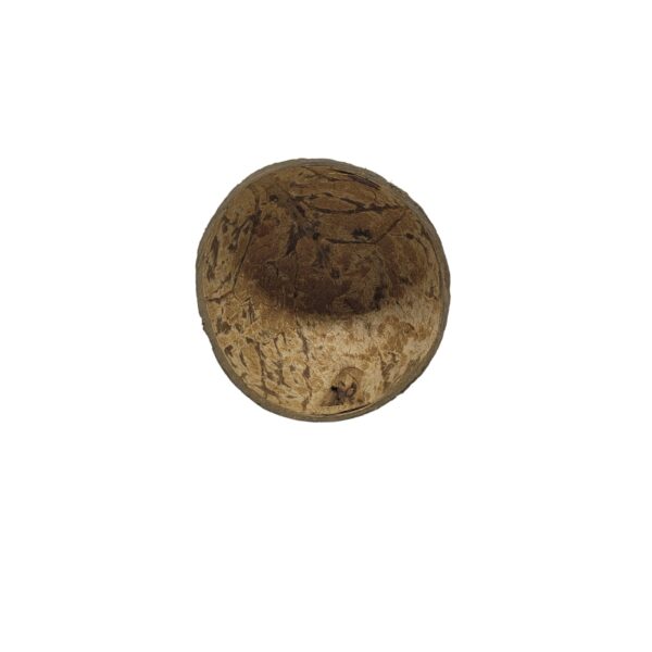 Coité de Coco com Base Robusta - Image 2