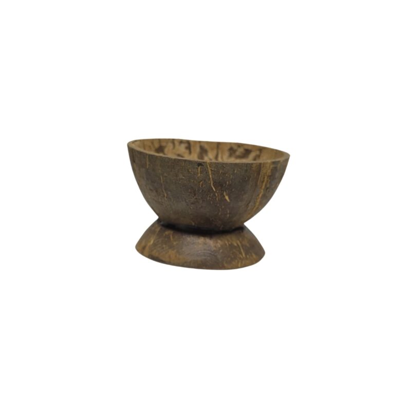 Coité de Coco com Base Robusta