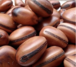 Sementes Olho De Boi Natural Sem Furo Macunã (Unidade)