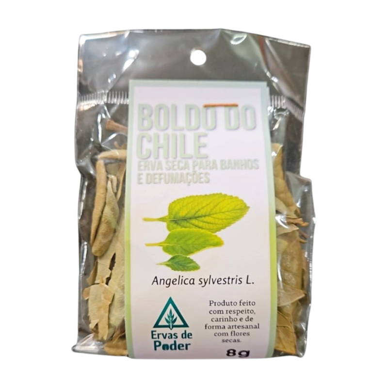Boldo do chile